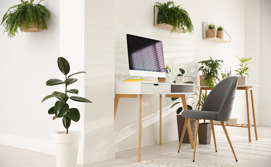 Pflanzen unterstützen Produktivität